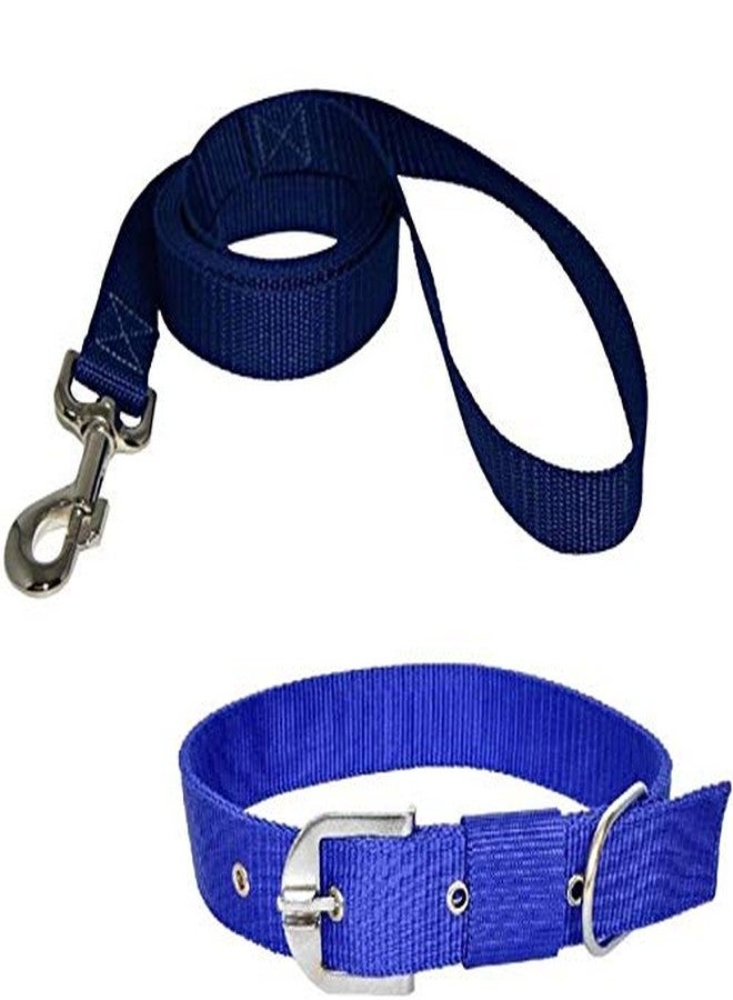 Skora Dog Collar & Leash(Small, Blue) - Image 1